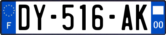 DY-516-AK