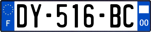 DY-516-BC