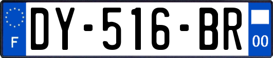 DY-516-BR