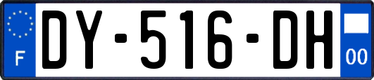 DY-516-DH