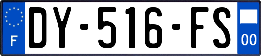 DY-516-FS