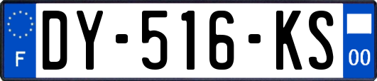 DY-516-KS