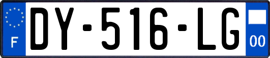DY-516-LG