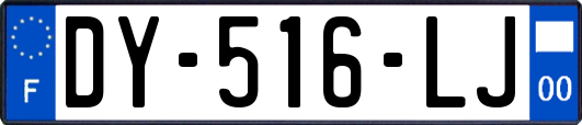 DY-516-LJ
