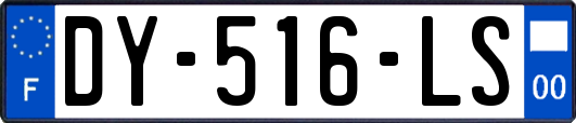 DY-516-LS