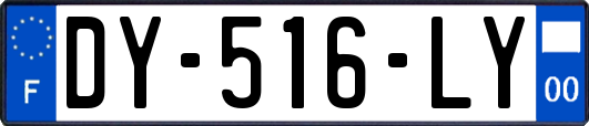 DY-516-LY