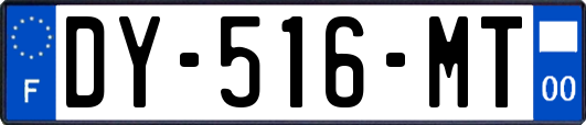 DY-516-MT