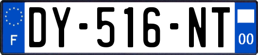 DY-516-NT