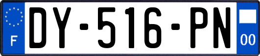 DY-516-PN
