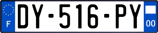 DY-516-PY
