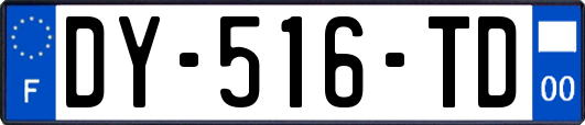 DY-516-TD