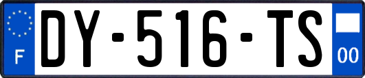 DY-516-TS