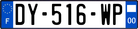 DY-516-WP