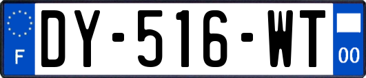 DY-516-WT