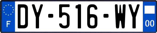 DY-516-WY