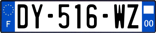 DY-516-WZ