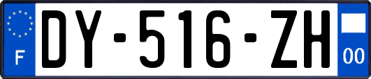 DY-516-ZH