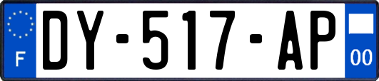 DY-517-AP