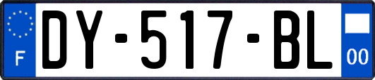 DY-517-BL