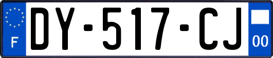 DY-517-CJ