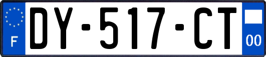 DY-517-CT