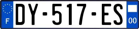 DY-517-ES