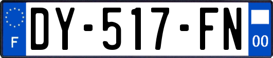 DY-517-FN
