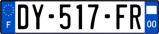 DY-517-FR