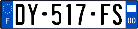 DY-517-FS