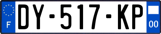 DY-517-KP