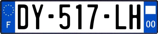 DY-517-LH