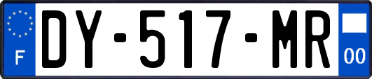 DY-517-MR