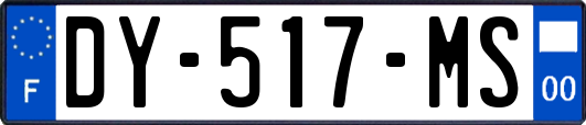 DY-517-MS