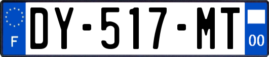DY-517-MT