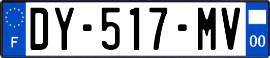 DY-517-MV