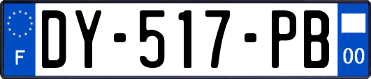 DY-517-PB
