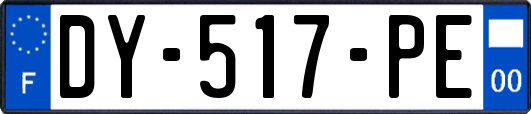 DY-517-PE