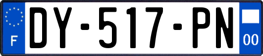 DY-517-PN