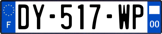 DY-517-WP