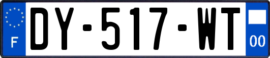 DY-517-WT