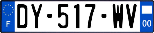 DY-517-WV