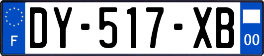 DY-517-XB