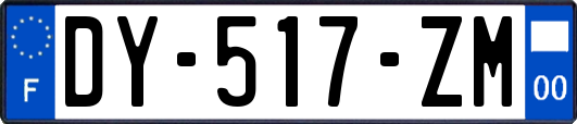 DY-517-ZM