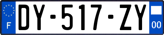 DY-517-ZY