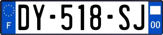 DY-518-SJ