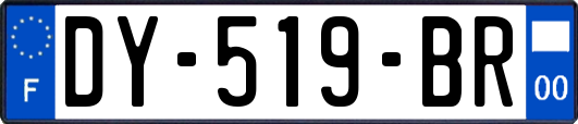 DY-519-BR