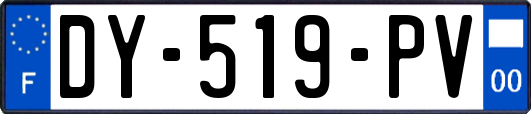 DY-519-PV