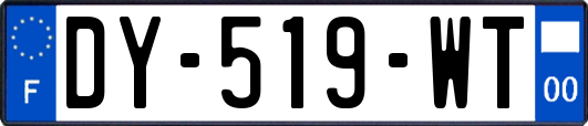 DY-519-WT