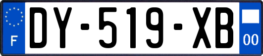 DY-519-XB