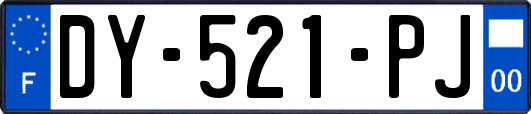 DY-521-PJ